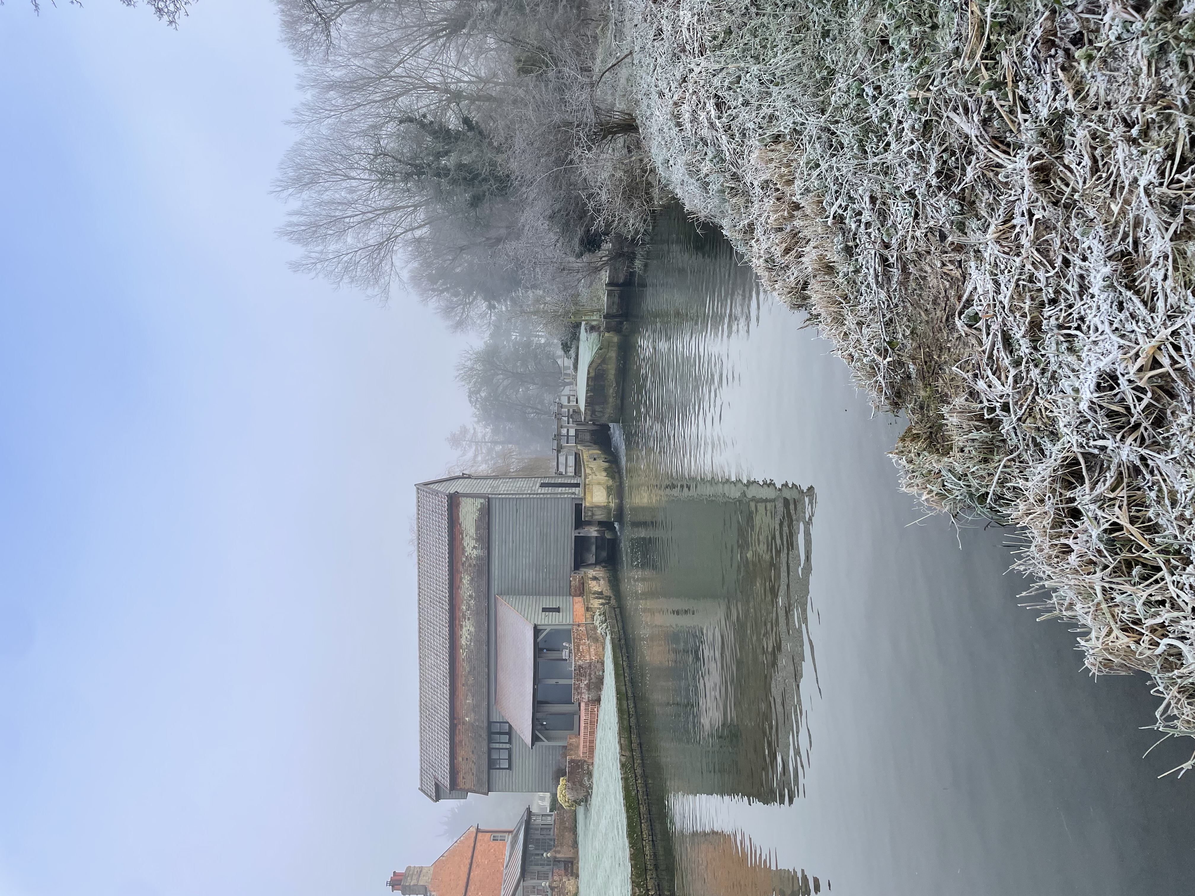 Stewardship in Action