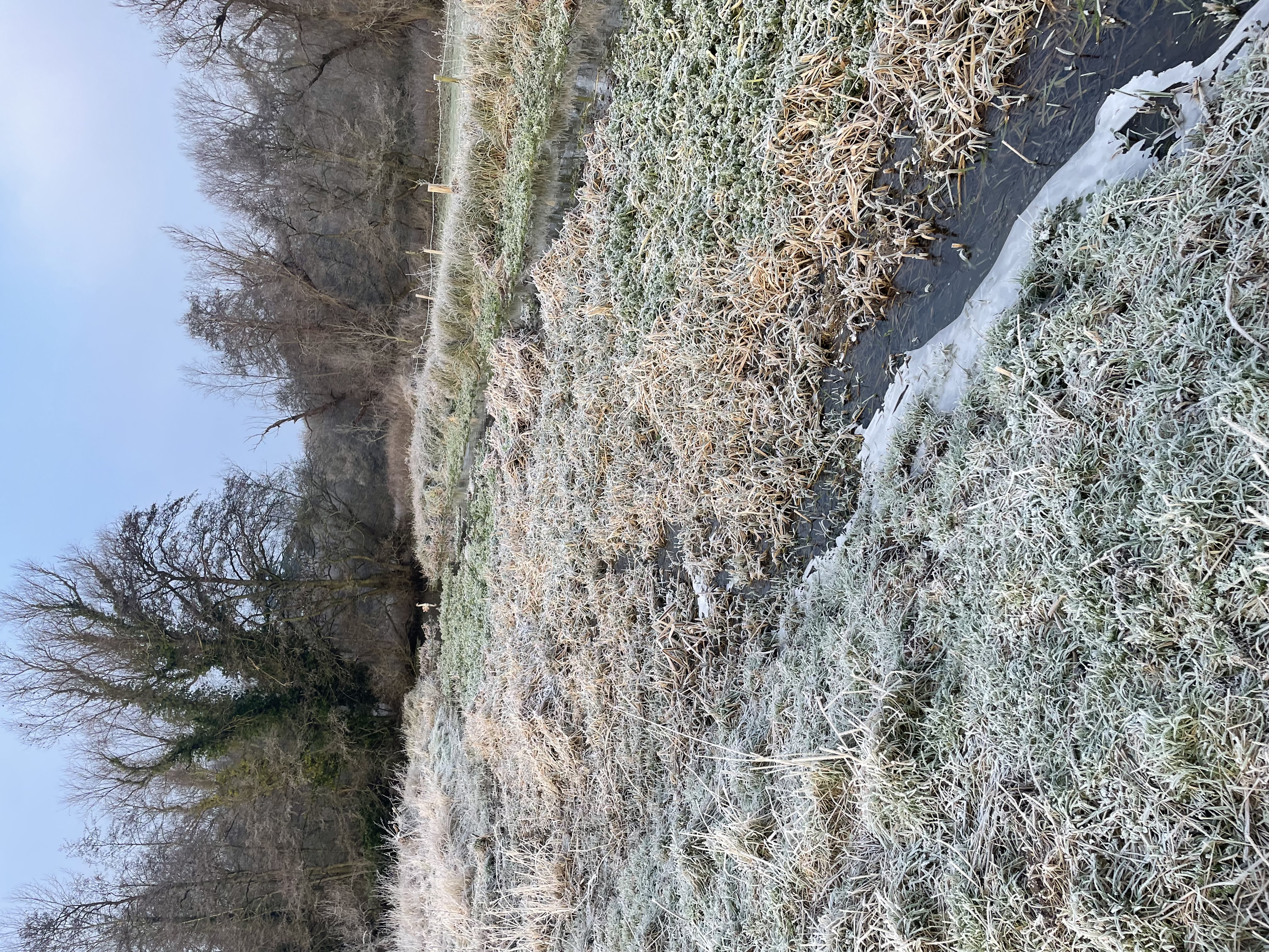 South of Lower Ufford Bridge