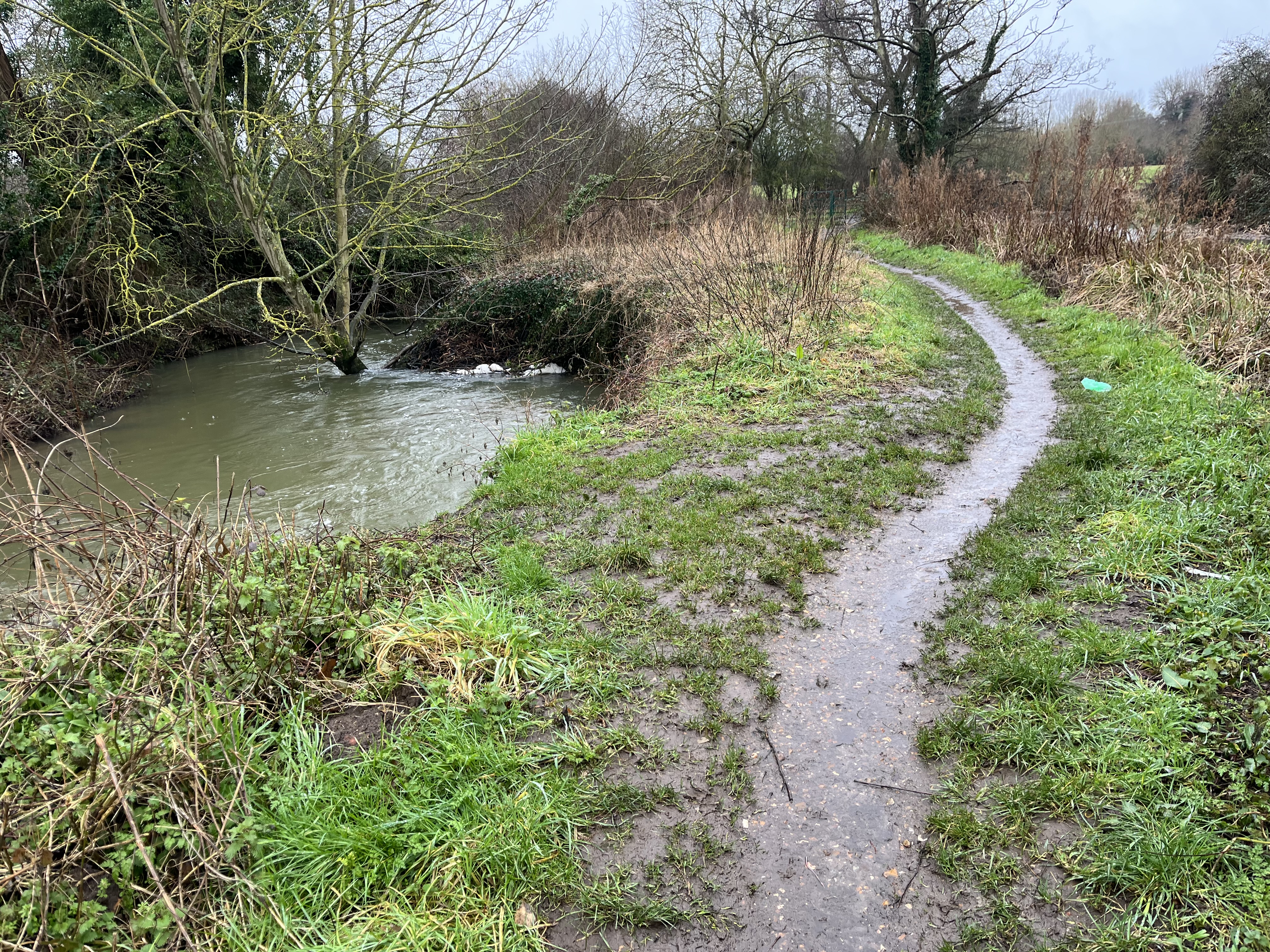 Condition in Feb 2025